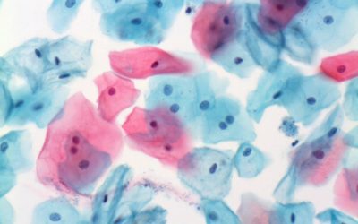 Vorsorge Untersuchungen